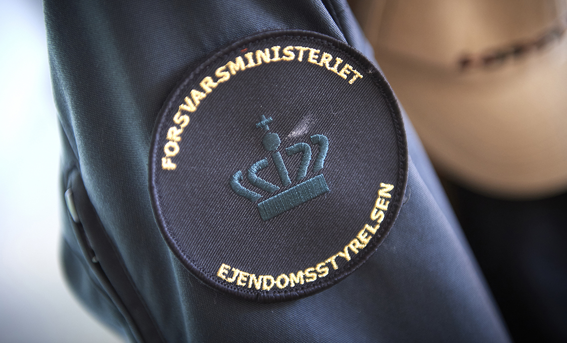 Badge - 2020 -  Artikel