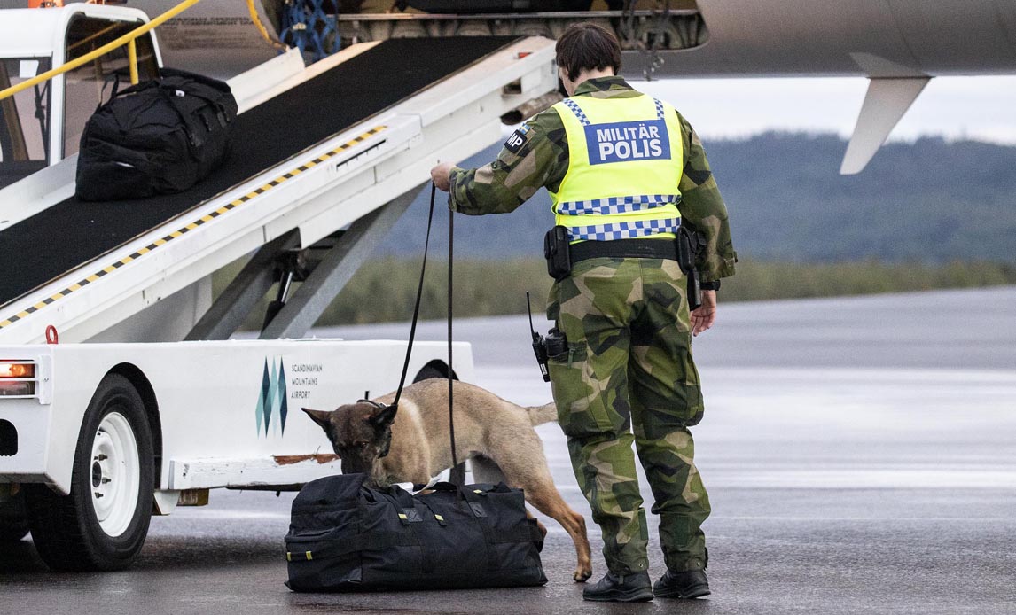 Ankomst til Älvdalen