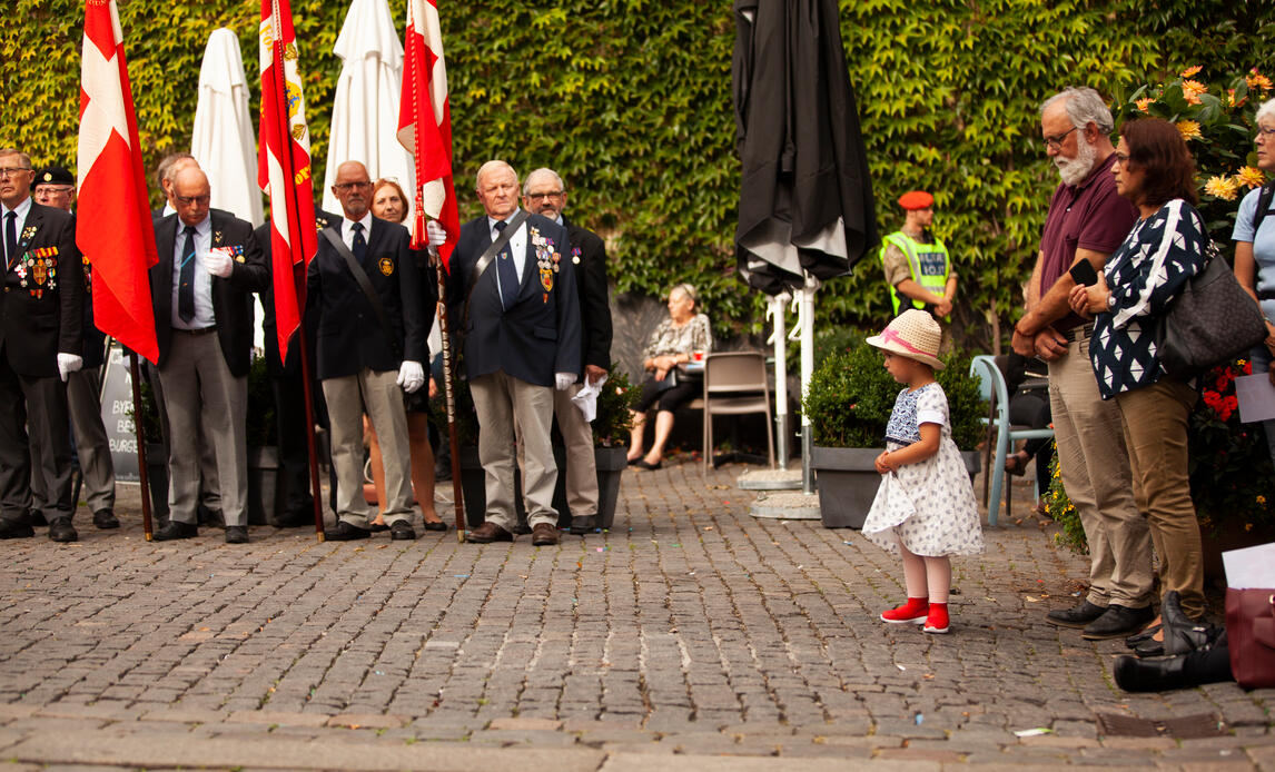 Flagdag i Aalborg. Civile og veteraner i stilhed