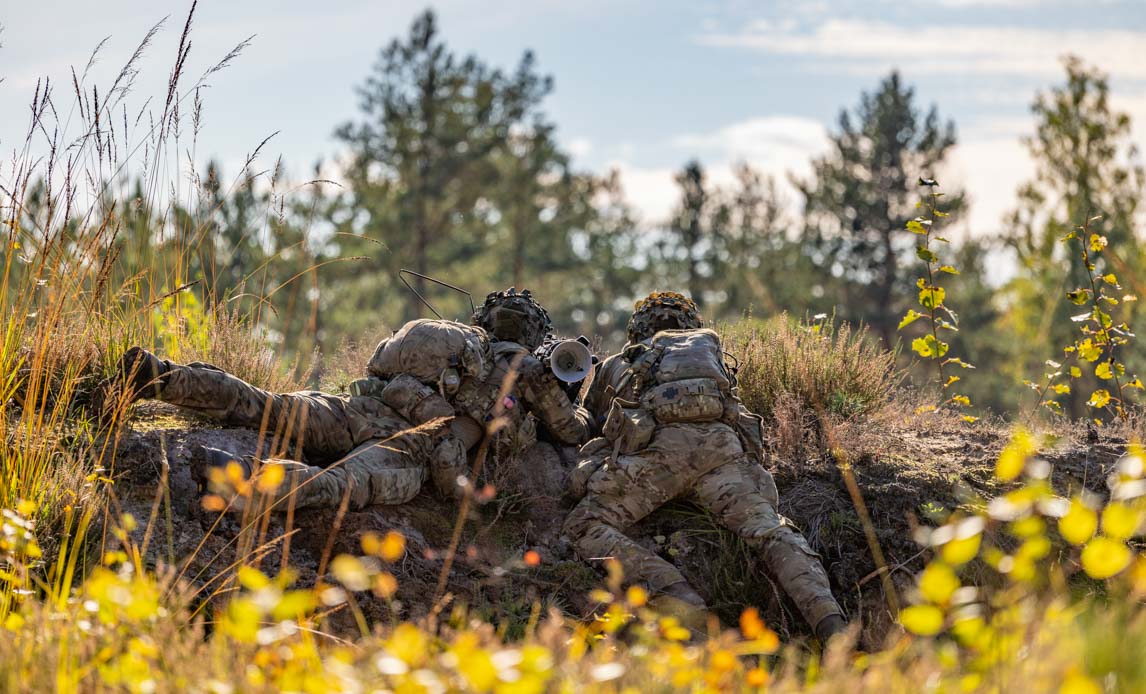 Kampvognsbataljonen har som en del af øvelsen haft underlagt en litauisk ingeniørdeling, canadisk opklaringsdeling, canadisk EW (Electronic Warfare) og italiensk airdefence.