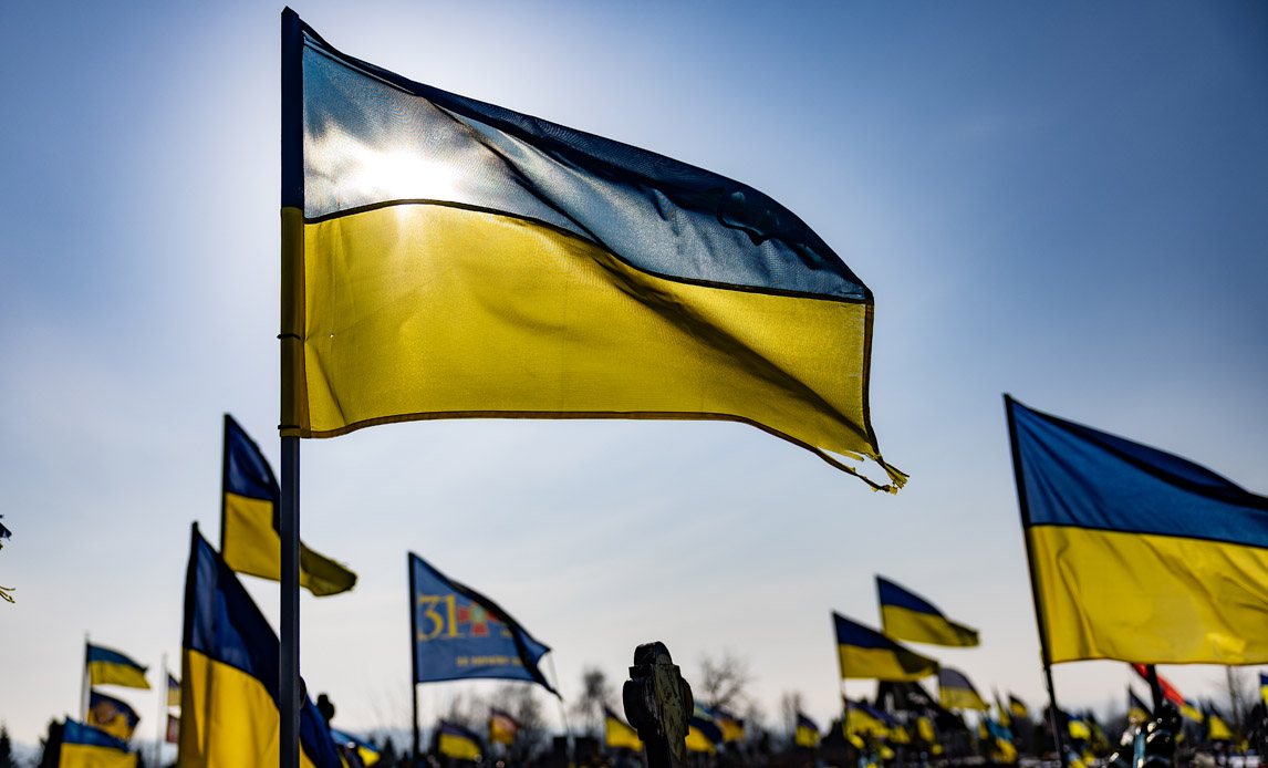 ukrainske flag