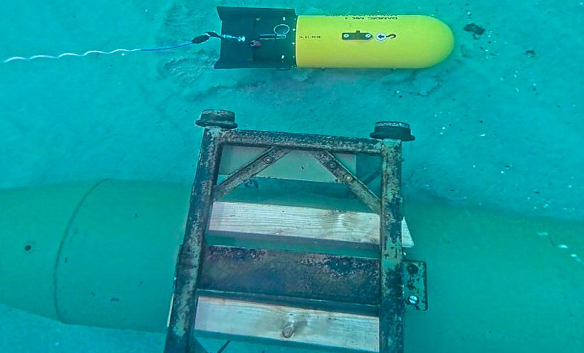 en øvelsesmine og en mindre sprængladning til bortsprængning af minen.