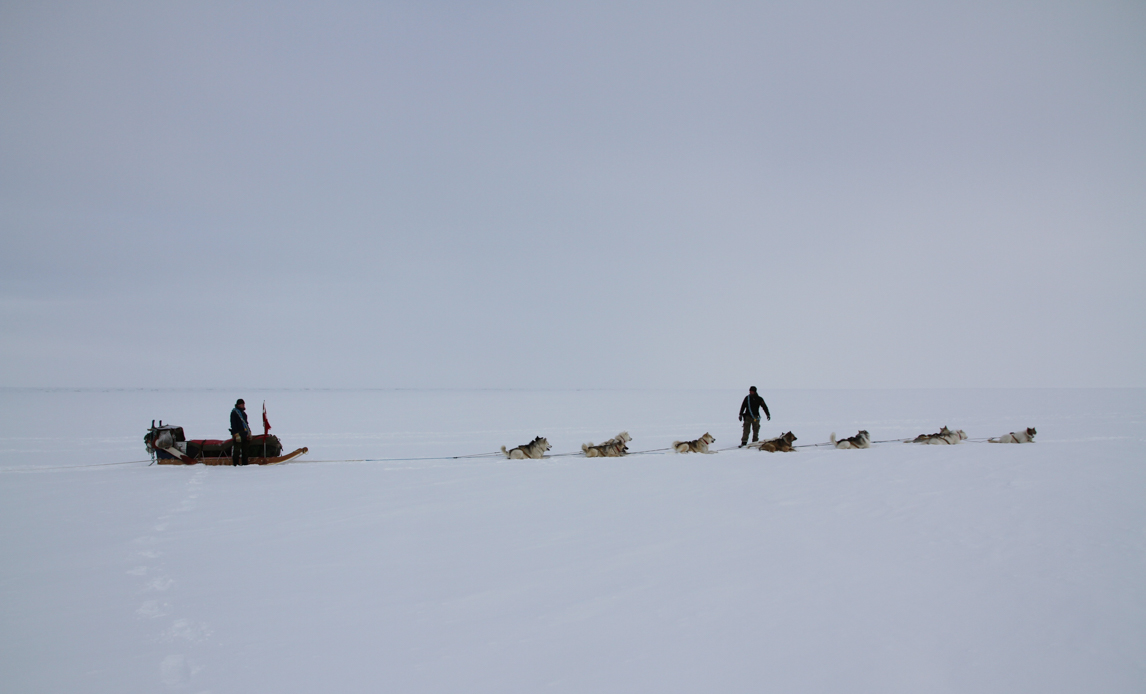 Siriuspatruljen ved Station Nord. Efter at have holdt en pause på Station Nord rejser to hundepatruljer videre