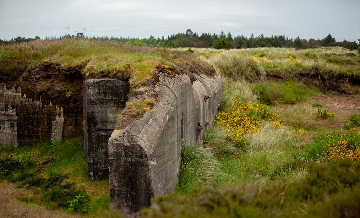 naturen i og omkring Oksbøl øvelsesterræn