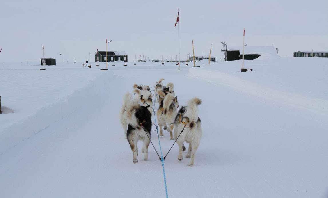 En flok slædehunde fra Siriuspatruljen trækker en slæde i et snebeklædt landskab ved Station Nord. Der kan i forgrunden anes små huse og en flagstang med Dannebrog.